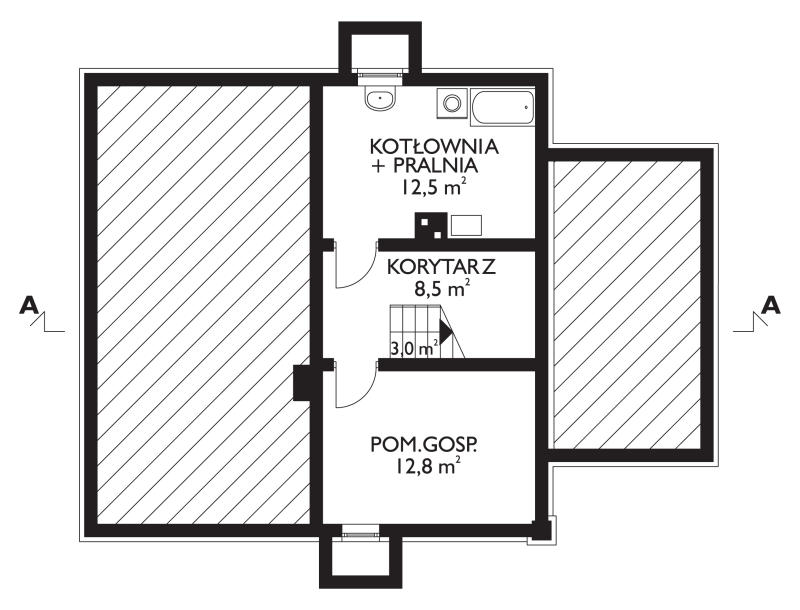 Проект коттеджа Любисток (E-307)