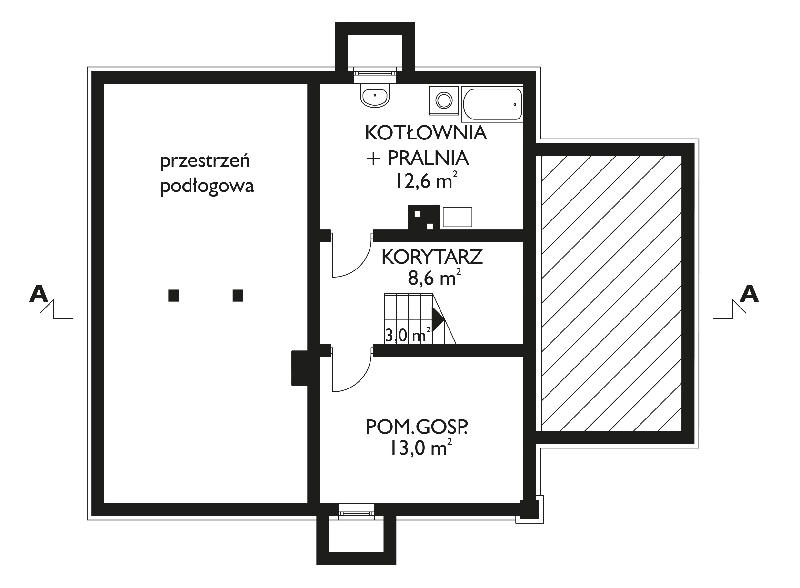 Проект коттеджа Любисток (E-307)